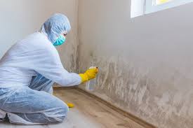 Best Biohazard Mold Removal  in West Simsbury, CT